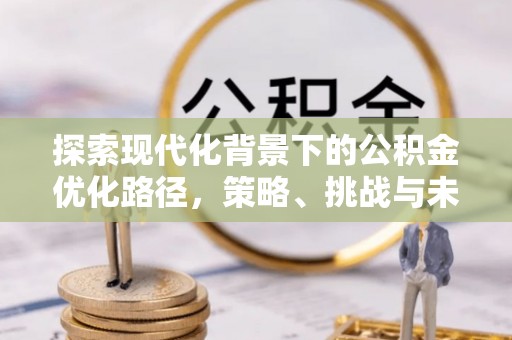 阿里山探索现代化背景下的公积金优化路径，策略、挑战与未来展望