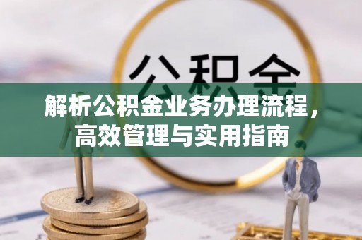 阿里山解析公积金业务办理流程，高效管理与实用指南