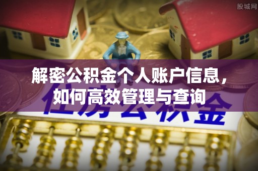 阿里山解密公积金个人账户信息，如何高效管理与查询