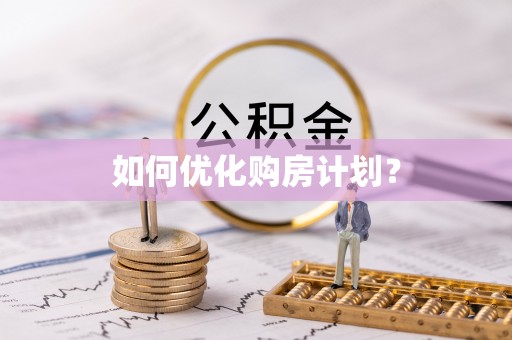 阿里山如何优化购房计划？