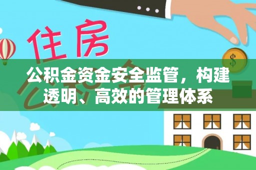 阿里山公积金资金安全监管，构建透明、高效的管理体系