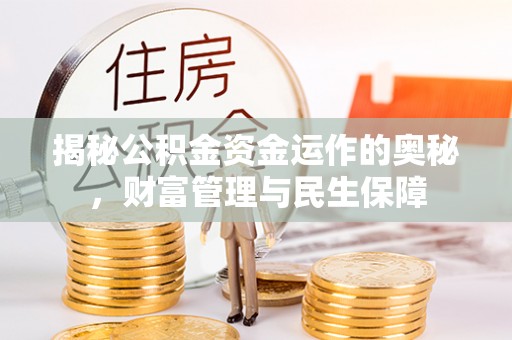 阿里山揭秘公积金资金运作的奥秘，财富管理与民生保障