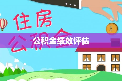 阿里山公积金绩效评估