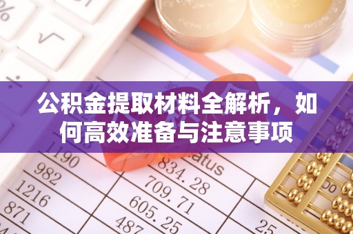 阿里山公积金提取材料全解析，如何高效准备与注意事项