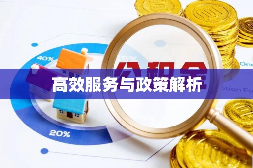阿里山高效服务与政策解析