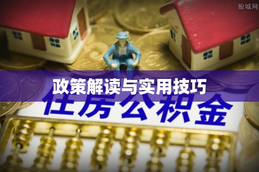 阿里山政策解读与实用技巧
