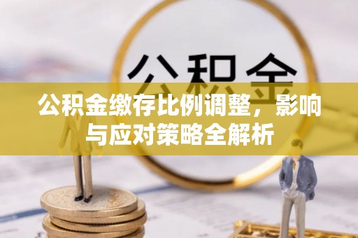 阿里山公积金缴存比例调整，影响与应对策略全解析