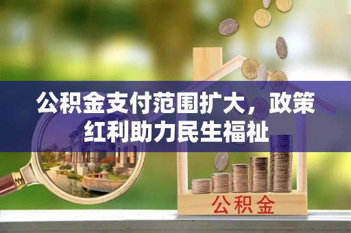 阿里山公积金支付范围扩大，政策红利助力民生福祉