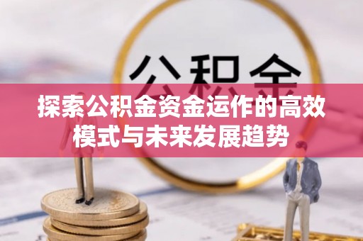 阿里山探索公积金资金运作的高效模式与未来发展趋势