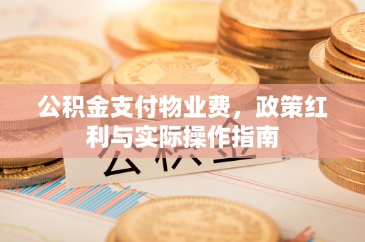 阿里山公积金支付物业费，政策红利与实际操作指南